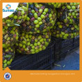 Agriculture HDPE Hexagon 55GSM Olive Net from Changzhou Sumao